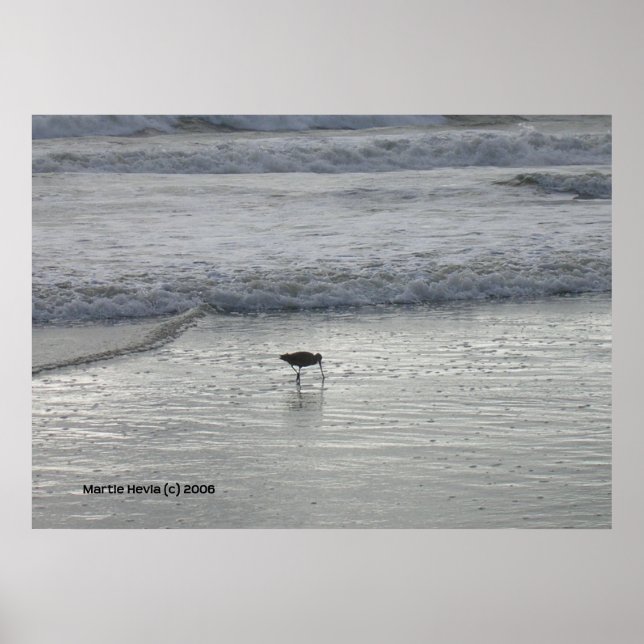 Lone Sandpiper vid Watsonville Beach Poster (Framsidan)