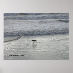Lone Sandpiper vid Watsonville Beach Poster