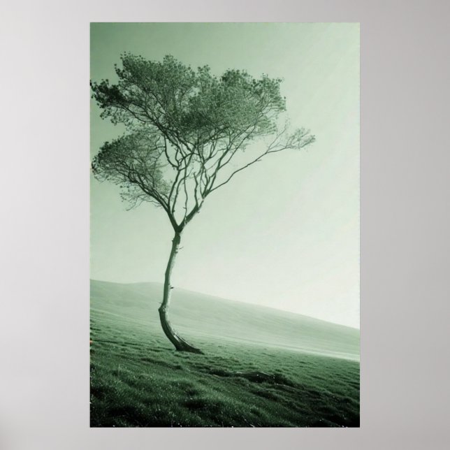 Lone Sentinel: A Windswept Träd Poster (Framsidan)