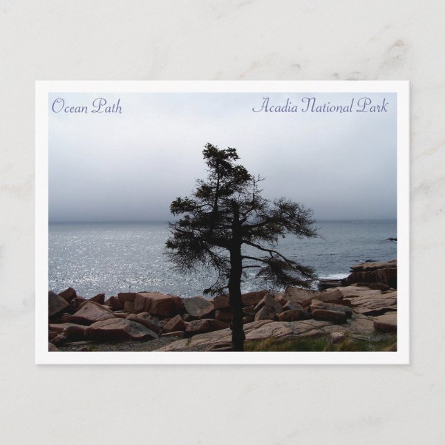 Lone Sentinel vid Väg vid havet Vykort (Framsida)
