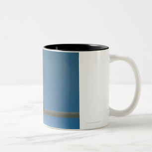 Lone sitta för babyhusdjurhöna på en Perch Två-Tonad Mugg