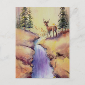 LONE STAG by SHARON SHARPE Vykort