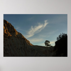 Lone Torrey Gräs California Sunset liggande Poster