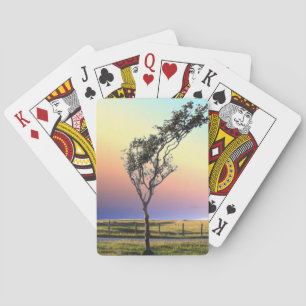 LONE TRÄD CASINOKORT