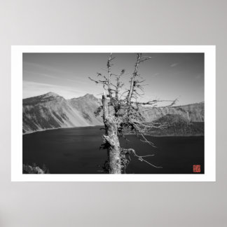 Lone Träd Poster