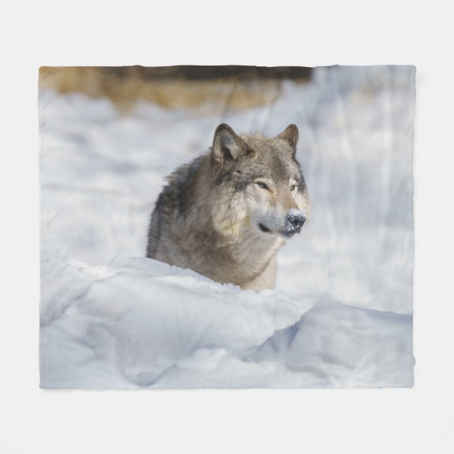 Lone Varg i Snö Fleecefilt (Framsidan (Horisontell))