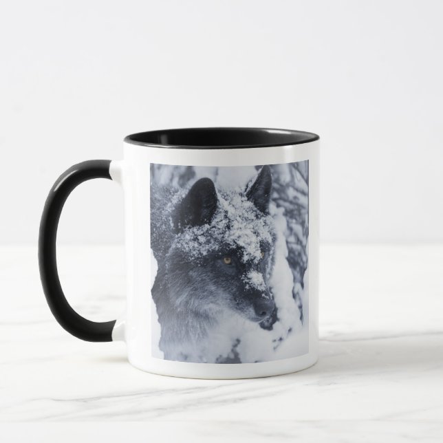 Lone varg i snö mugg (Vänster)