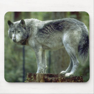 Lone varg Mousepad Musmatta