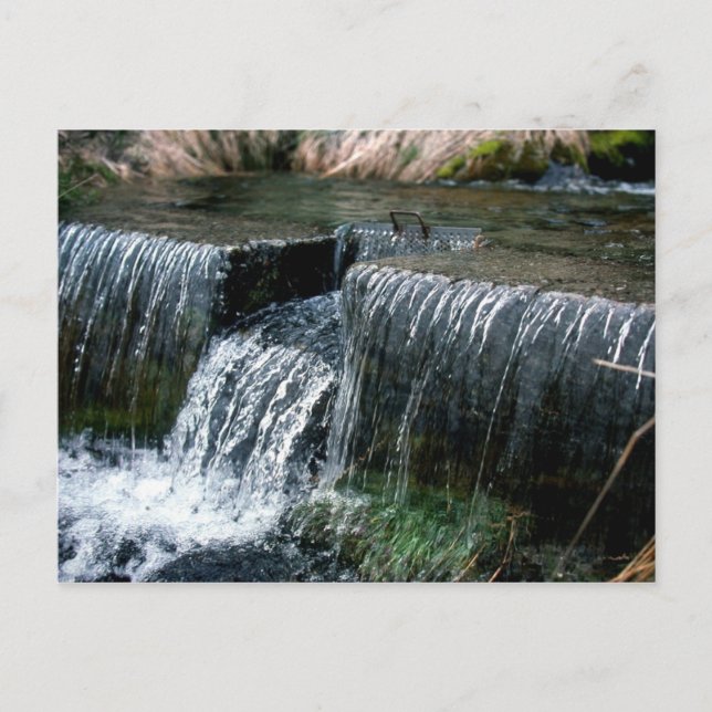 LONELINESS VYKORT (Framsida)