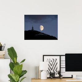 Lonely Assion Poster