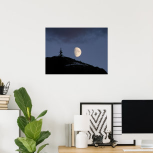 Lonely Assion Poster