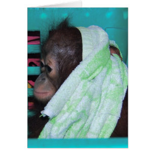 Lonely Baby Orangutan Hälsningskort