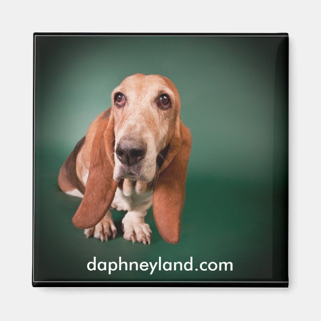 Lonely Basset Magnet (Framsidan)