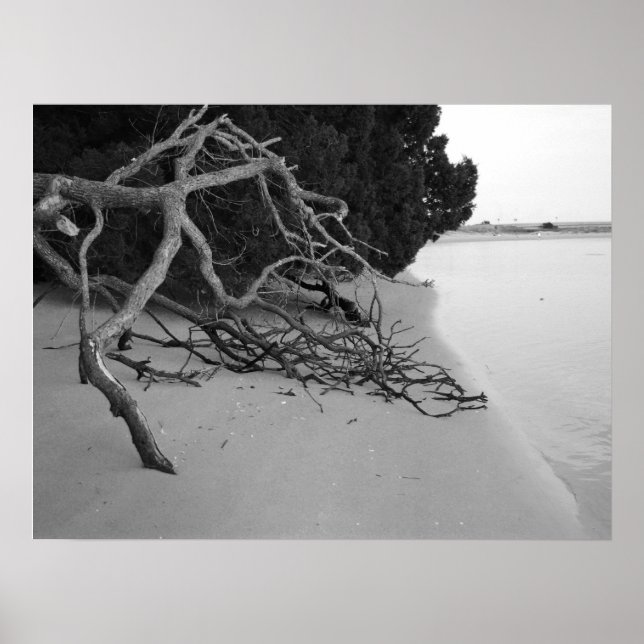 Lonely Beach Poster (Framsidan)