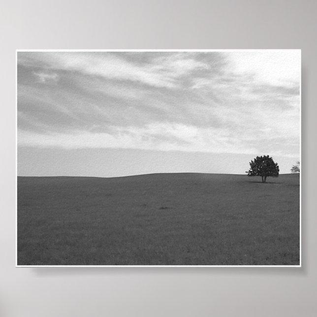 Lonely Black and White Prarie Scene Poster (Framsidan)