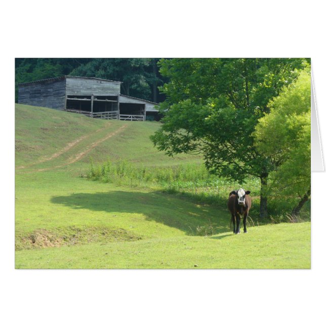 Lonely Calf OBS Kort (Framsidan Horizontal)