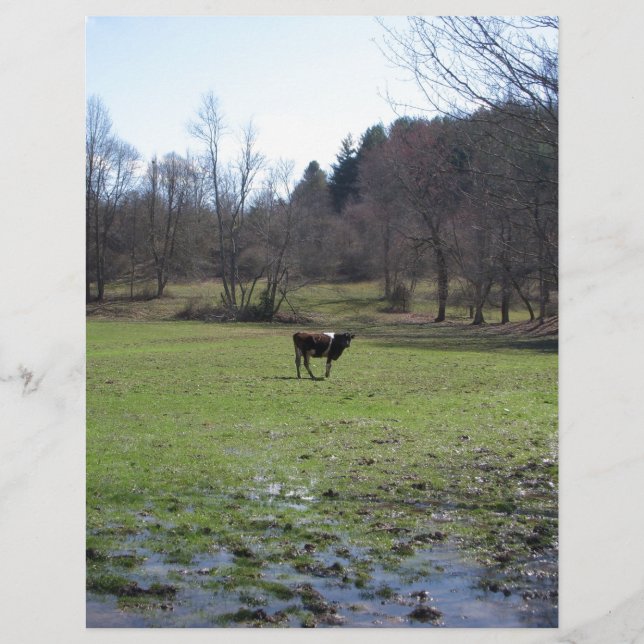 Lonely Cow (Framsida)
