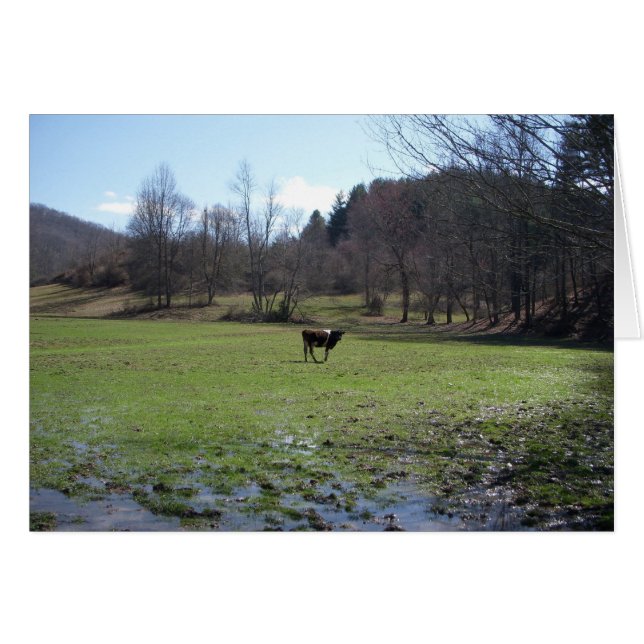 Lonely Cow Hälsningskort (Framsidan Horizontal)