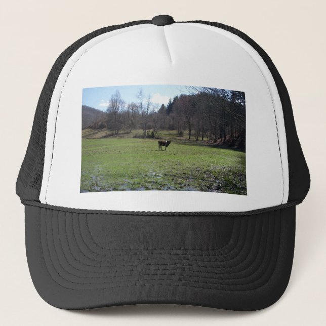 Lonely Cow Truckerkeps (Framsida)