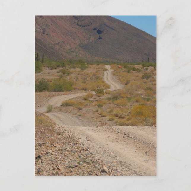 Lonely Desert Road 01 Vykort (Framsida)