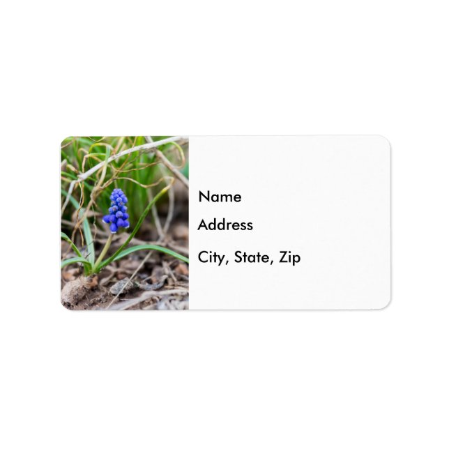 Lonely Grape Hyacinth Adressetikett (Framsidan)