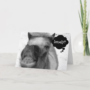 "LONELY HOG" GÖR CHRISTMAS JOKE UTAN "DU" HELGKORT