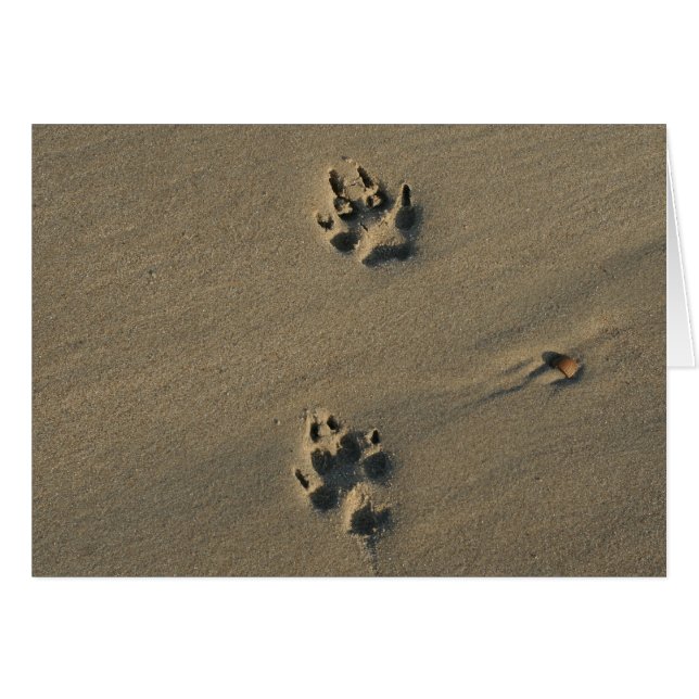 Lonely Hund Hälsningskort (Framsidan Horizontal)