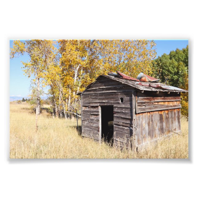 Lonely Little Shed Fototryck (Framsidan)
