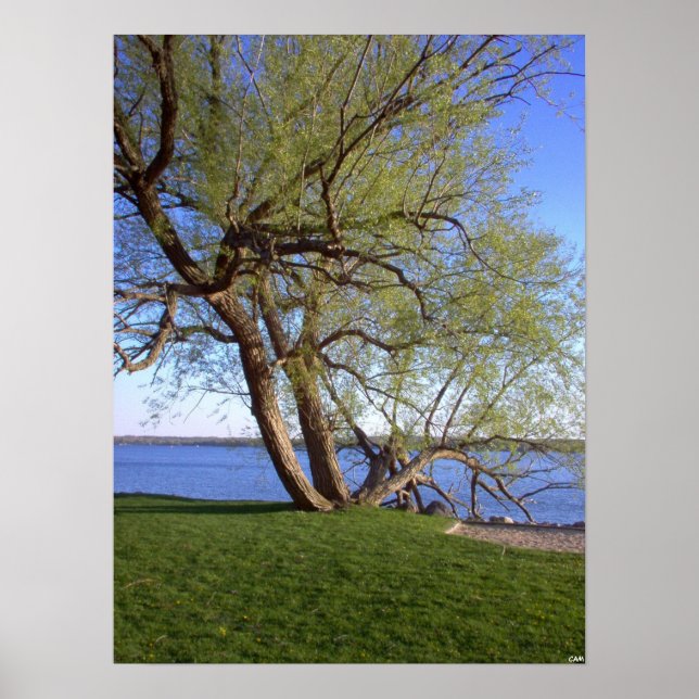 Lonely Poster (Framsidan)