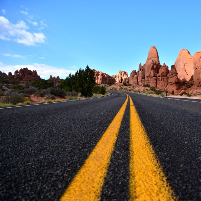 Lonely Road in Arches National Park Canvastryck (Skapare uppladdad)