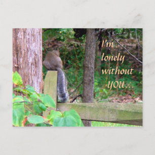 Lonely Squirrel Vykort