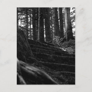 Lonely Stair Way Vykort