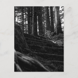 Lonely Stair Way Vykort