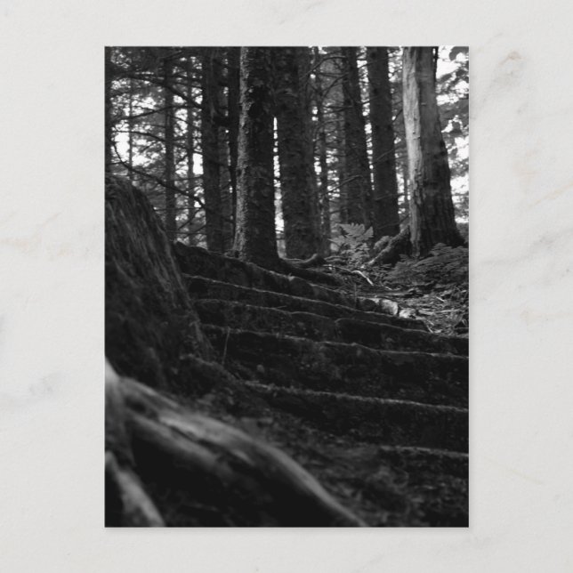 Lonely Stair Way Vykort (Framsida)