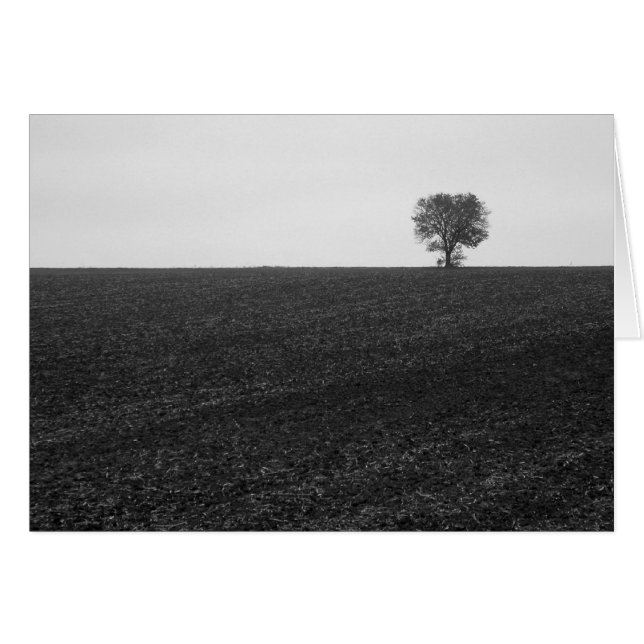 Lonely Träd Hälsningskort (Framsidan Horizontal)