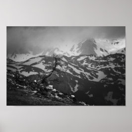 Lonely träd med bedövande syn på bergen poster