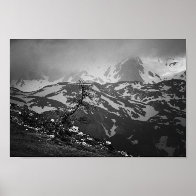 Lonely träd med bedövande syn på bergen poster (Framsidan)
