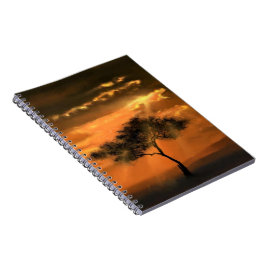Lonely Träd Sunbeams Notebook - Sunrise Anteckningsbok