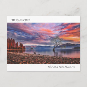Lonely Träd - Wanaka, Nya Zeeland Vykort