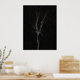 Lonely white träd poster