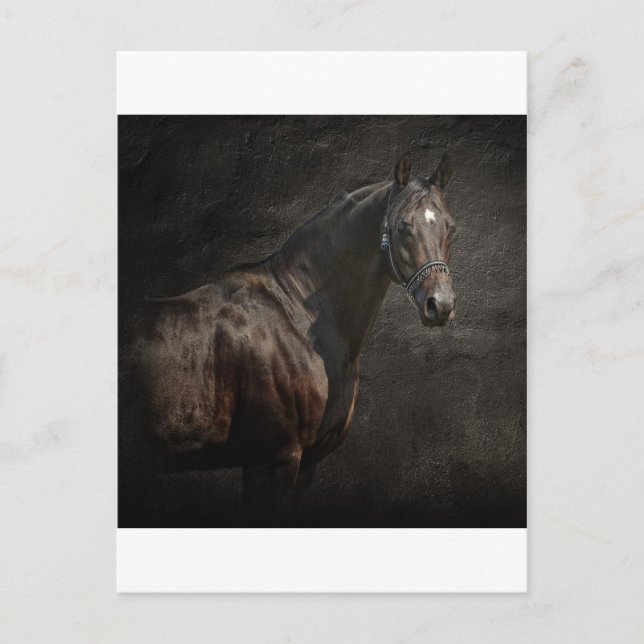 Loner Vykort (Framsida)