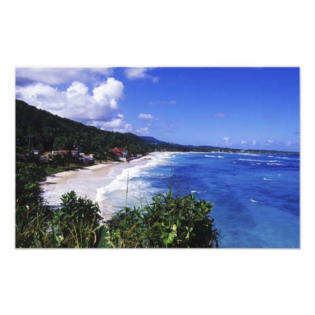 Long Bay, Port Antonio, Jamaica Fototryck (Framsidan)