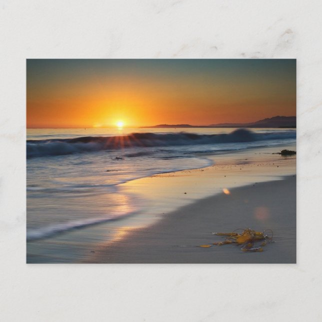 Long Beach California Vykort (Framsida)