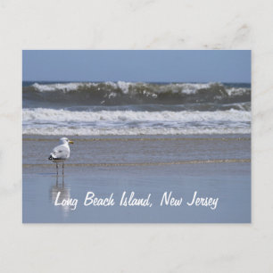 Long Beach Island, NJ-vykort Vykort