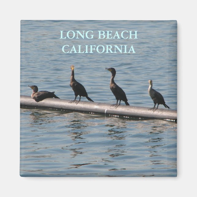 Long Beach Magnet!! Magnet (Framsidan)