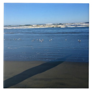 Long Beach, Washington Kakelplatta