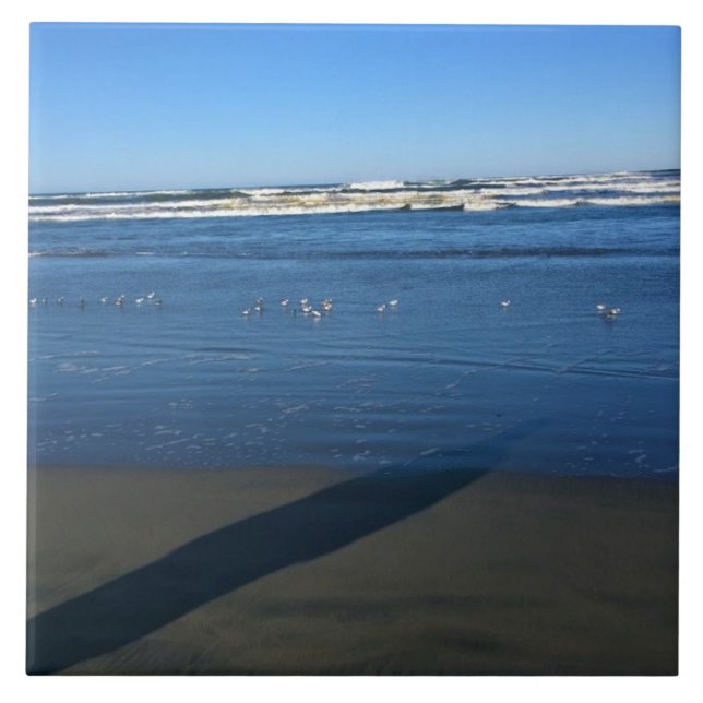 Long Beach, Washington Kakelplatta (Framsidan)