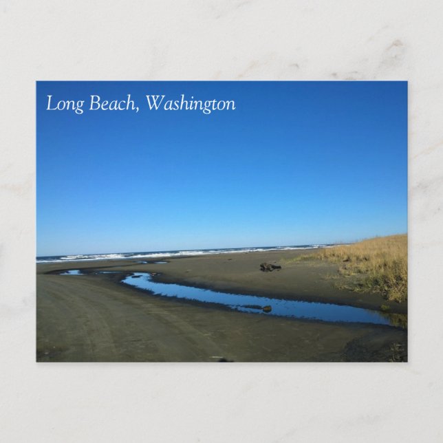 Long Beach, Washington Vykort (Framsida)