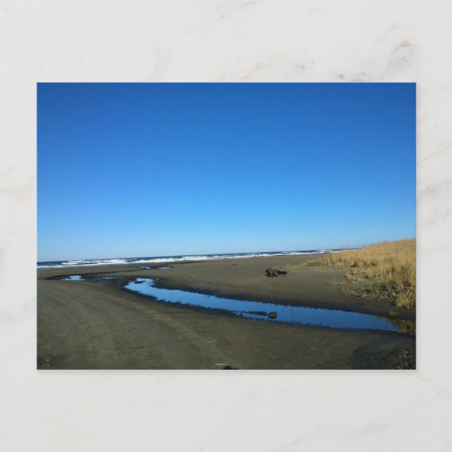 Long Beach, Washington Vykort (Framsida)