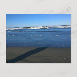 Long Beach, Washington Vykort